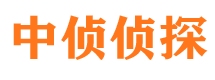 朝阳区外遇出轨调查取证